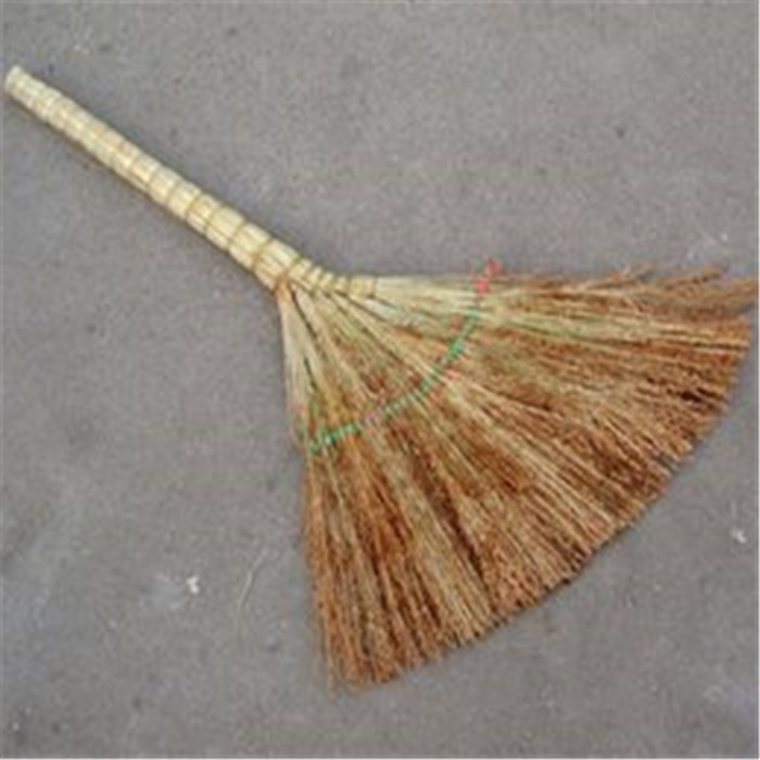笤帚普通